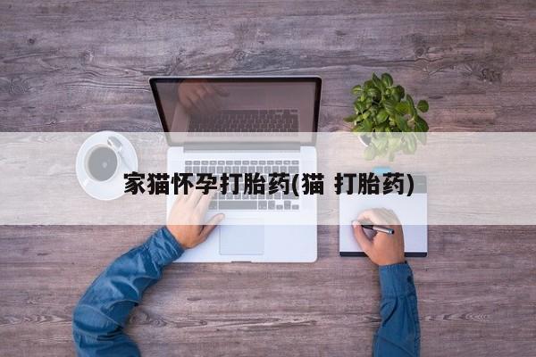 正品私人卖打胎药微信家猫怀孕打胎药(猫 打胎药)
